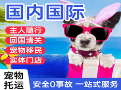 大连机场邮寄国际宠物托运 【国